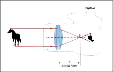 Formation image